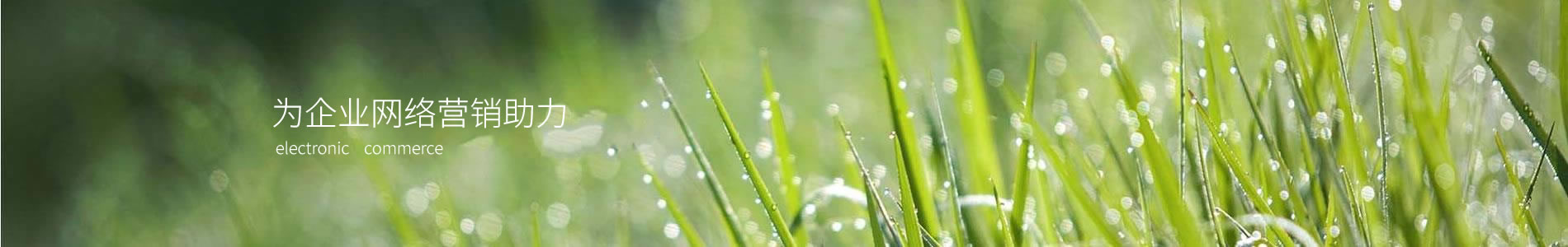 еºҵƼ޹˾
